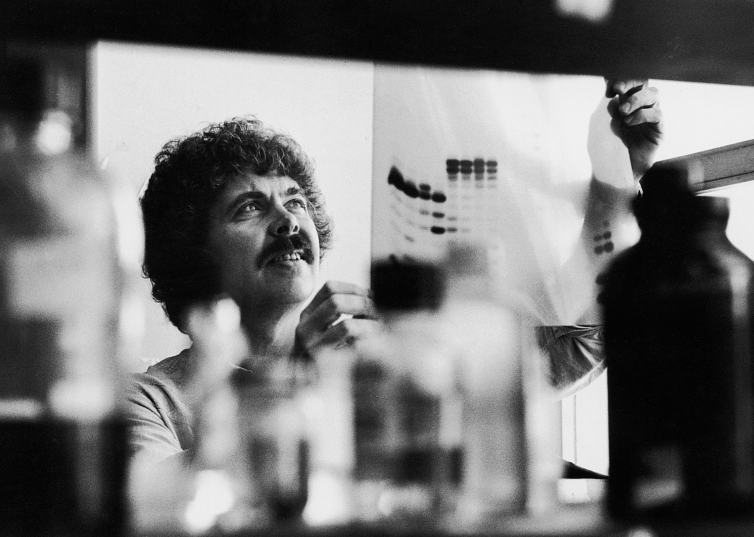 Dr. Herbert Boyer looking at radioautogram in laboratory.