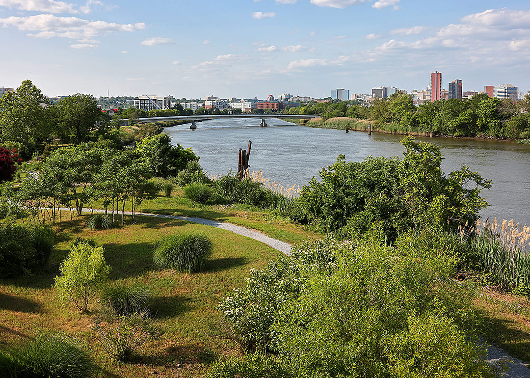 Overlooking Russell Peterson Wildlife Refuge.