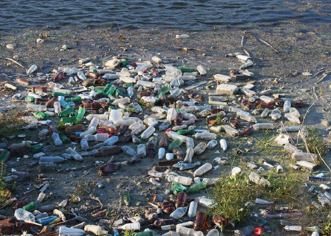 #3. Plastic beverage bottles
