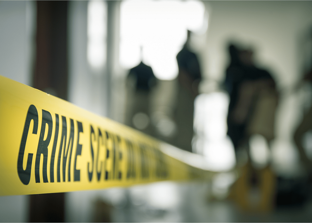 #3. Detectives and criminal investigators