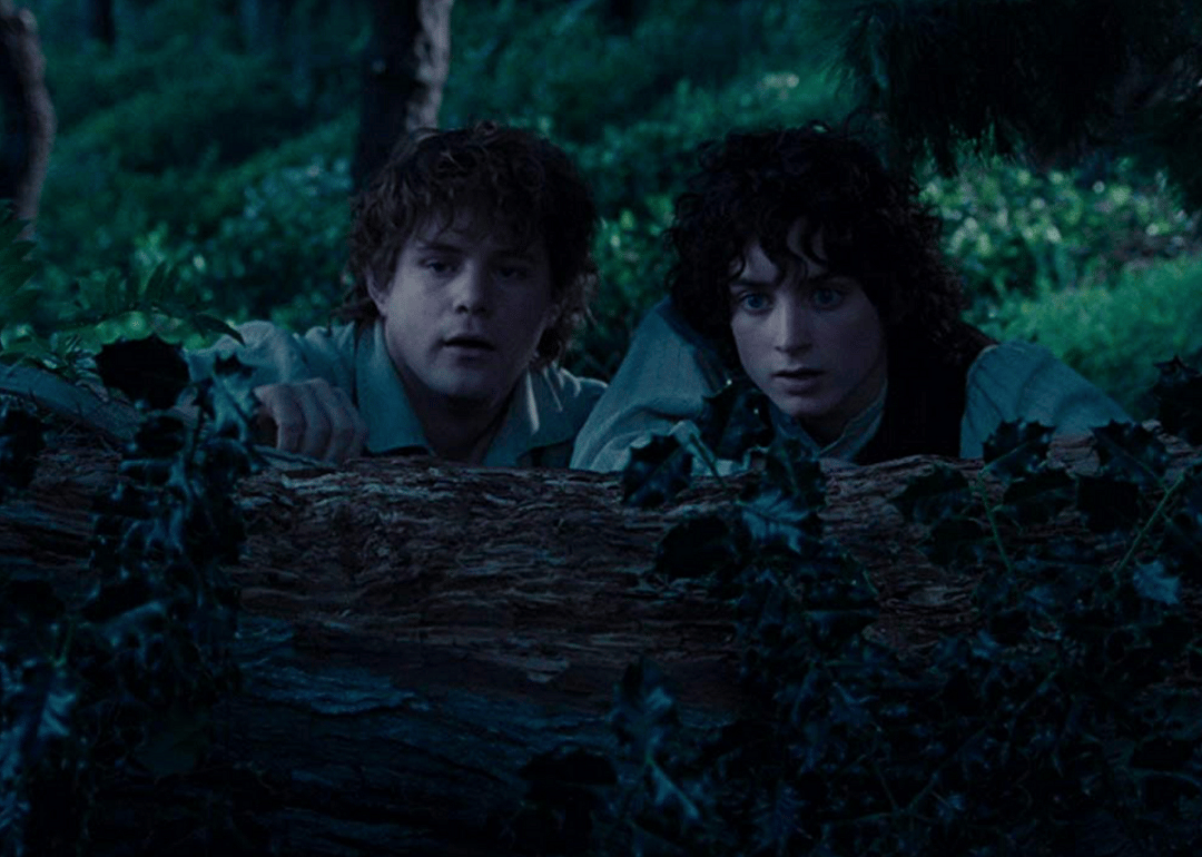 #5. 'The Lord of the Rings: The Fellowship of the Ring' (2001)