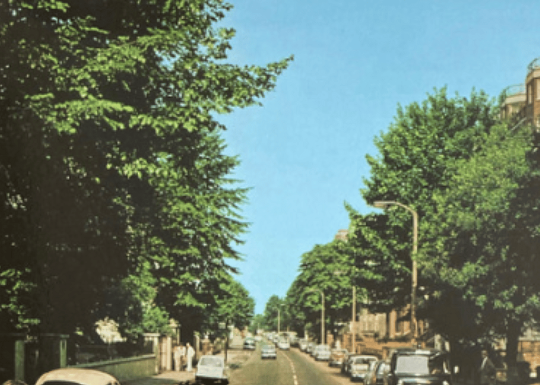 A tree covered road full of parked English cars.