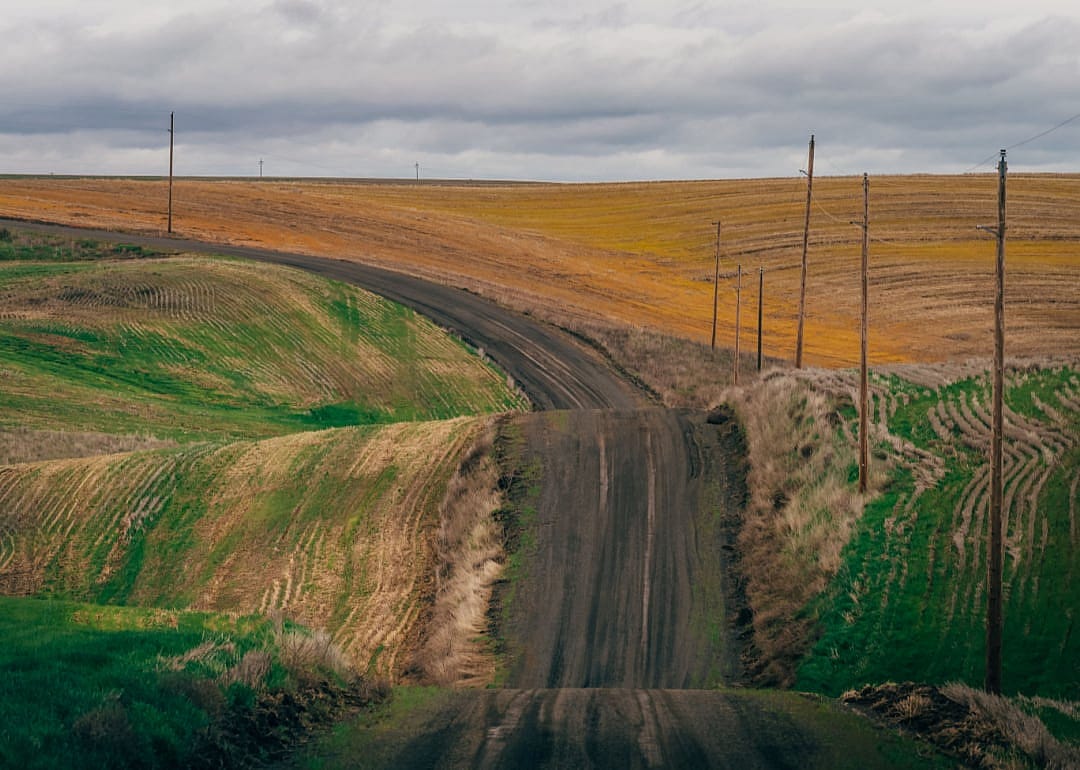 #14. Adams County