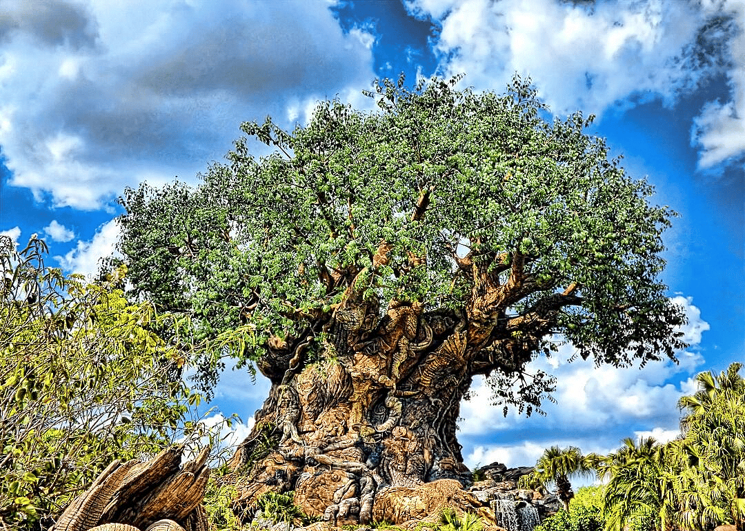 #6. Disney's Animal Kingdom at Walt Disney World, USA