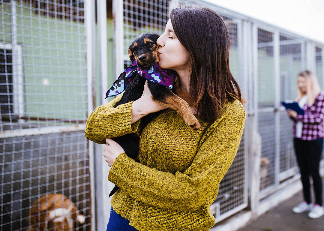 It only takes eight minutes to pick a shelter animal