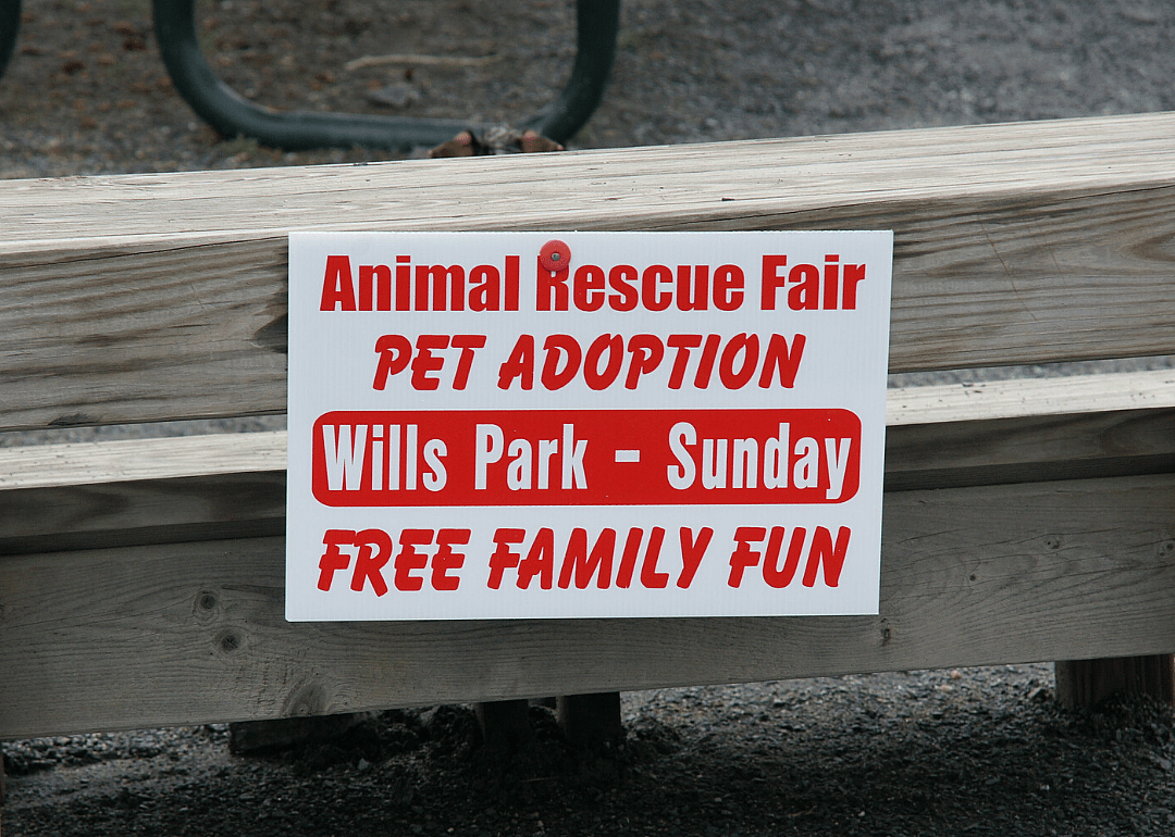 Animal relocation helps curb shelter overcrowding