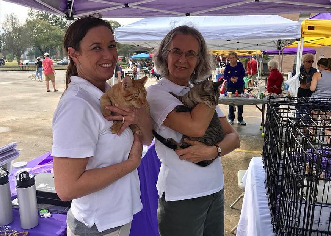 Louisiana: Cat Haven
