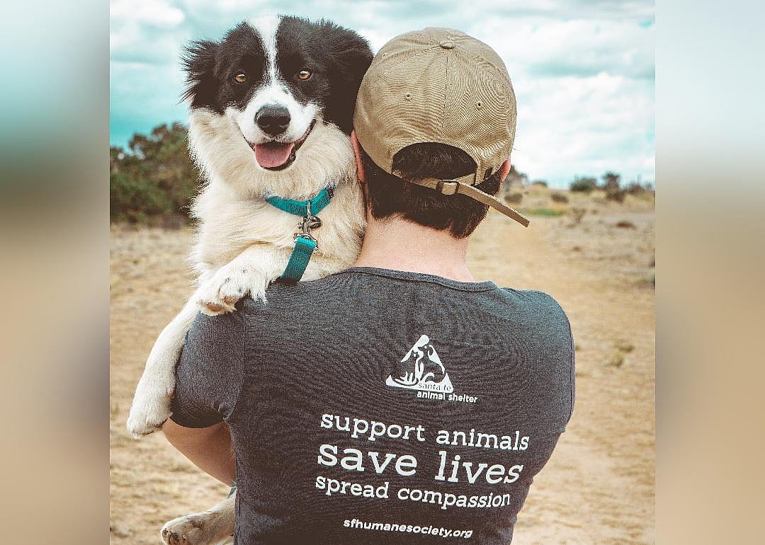 New Mexico: Santa Fe Animal Shelter & Humane Society