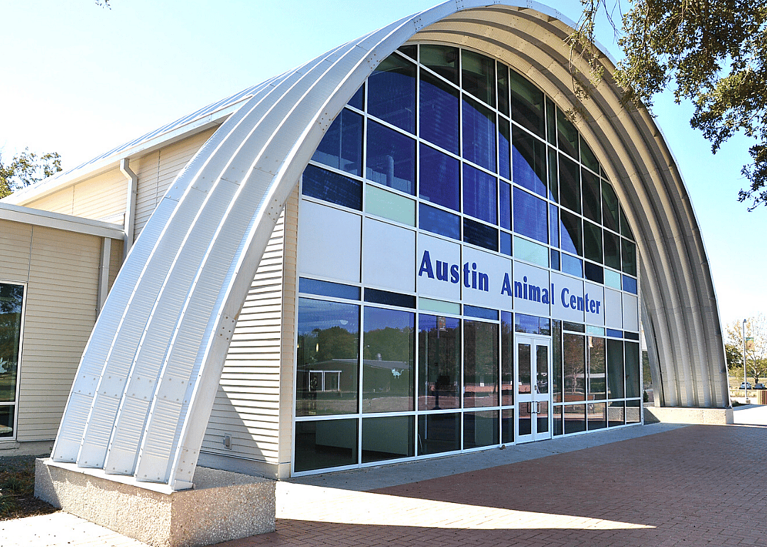 Texas: Austin Animal Center