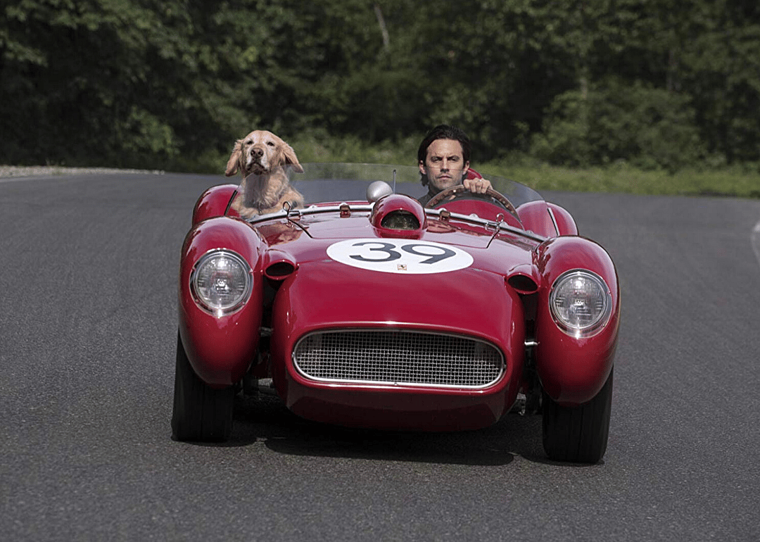 #23. The Art of Racing in the Rain
