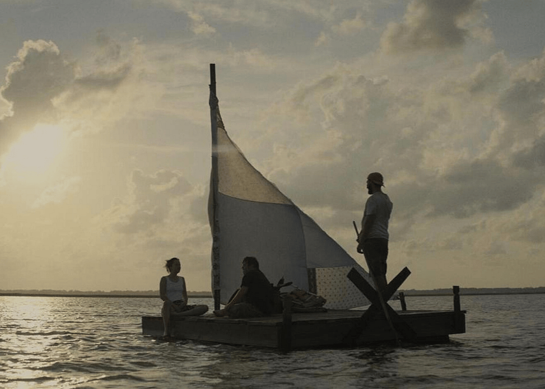 #14. The Peanut Butter Falcon