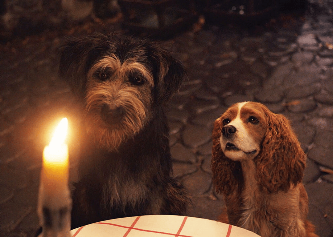 #15. Lady and the Tramp
