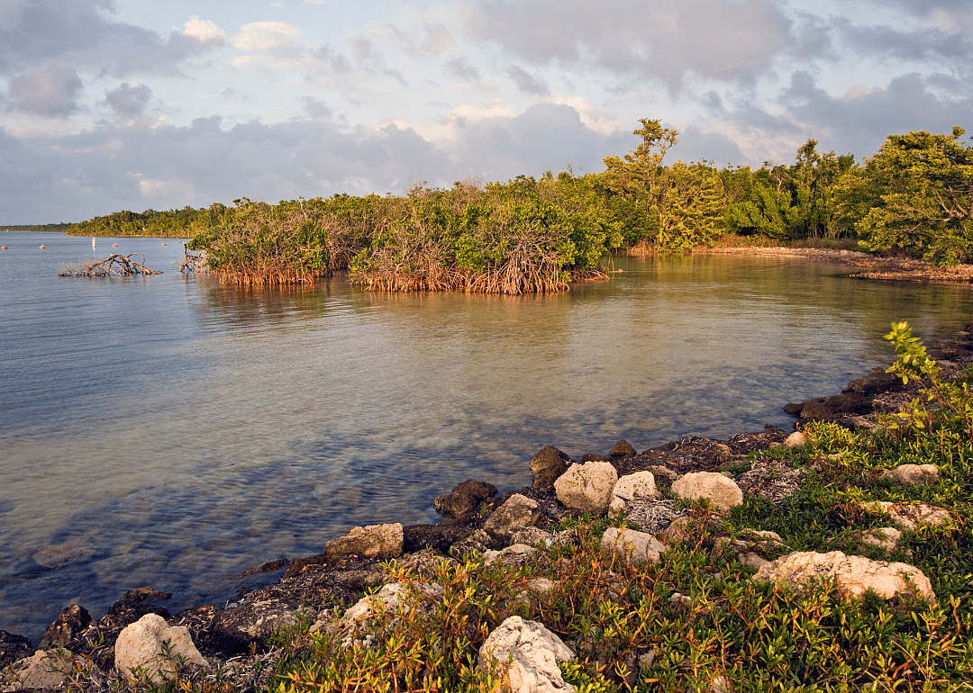 #10. Biscayne National Park (Florida)