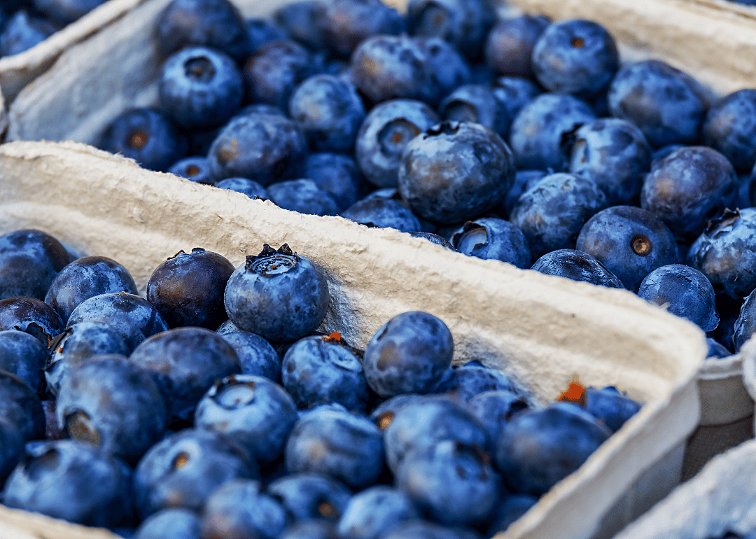 A close up of a box of blueberries. 