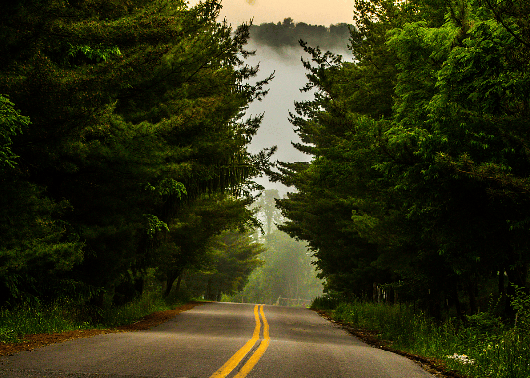 #5. Calhoun County