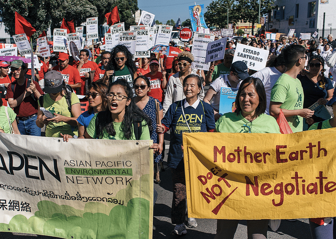 Asian Pacific Environmental Network