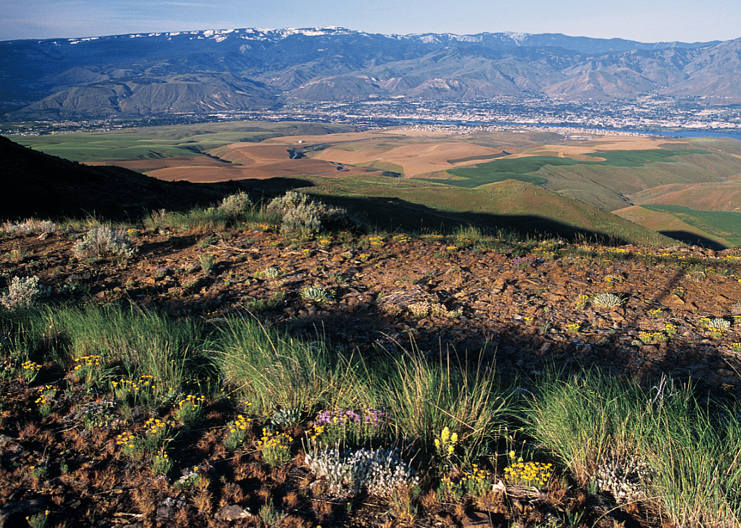 #5. Chelan County