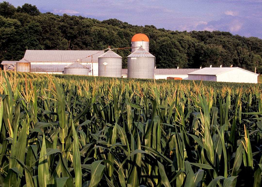 A field in Richland County, Ohio, where Shiloh is located.