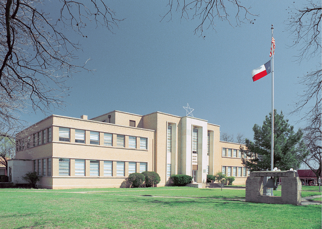 #2. Coleman County