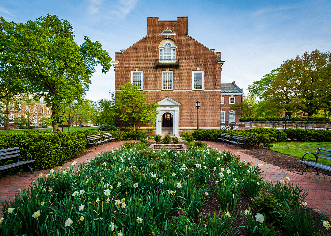 A blooming Daffodil garden in front of a historic stone building.