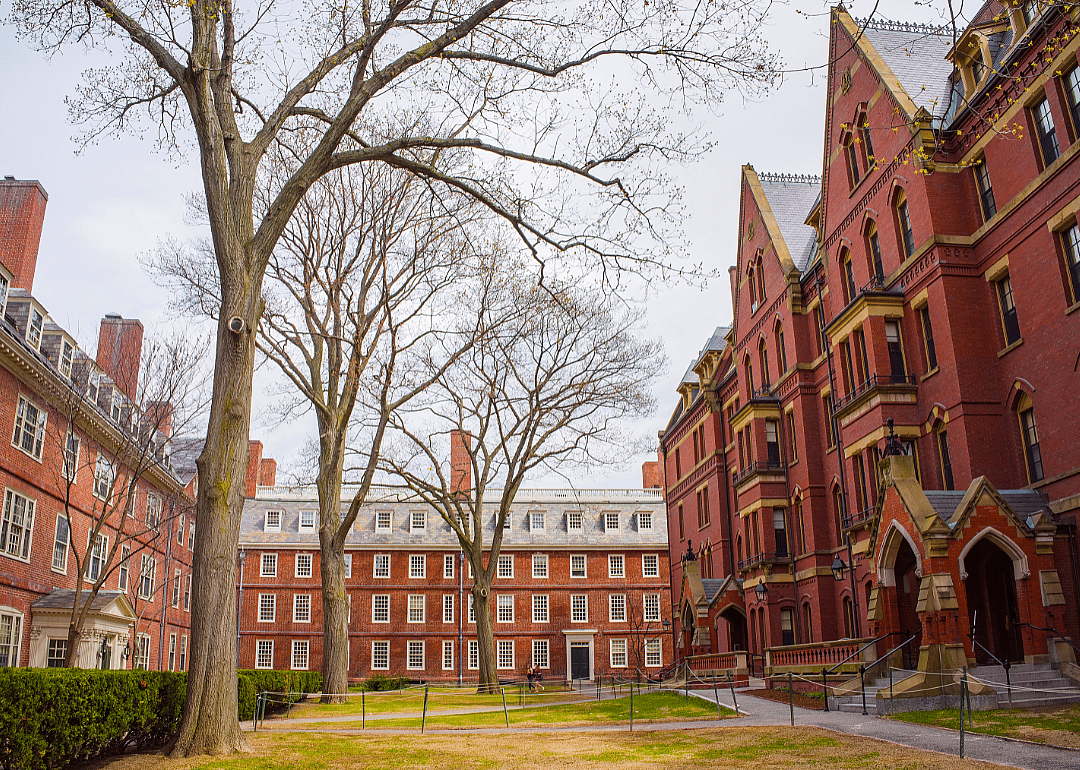 Stone dorms at Harvard.