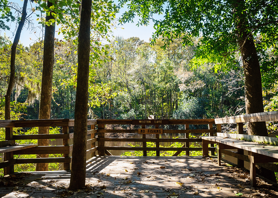 #5. Congaree National Park (South Carolina)