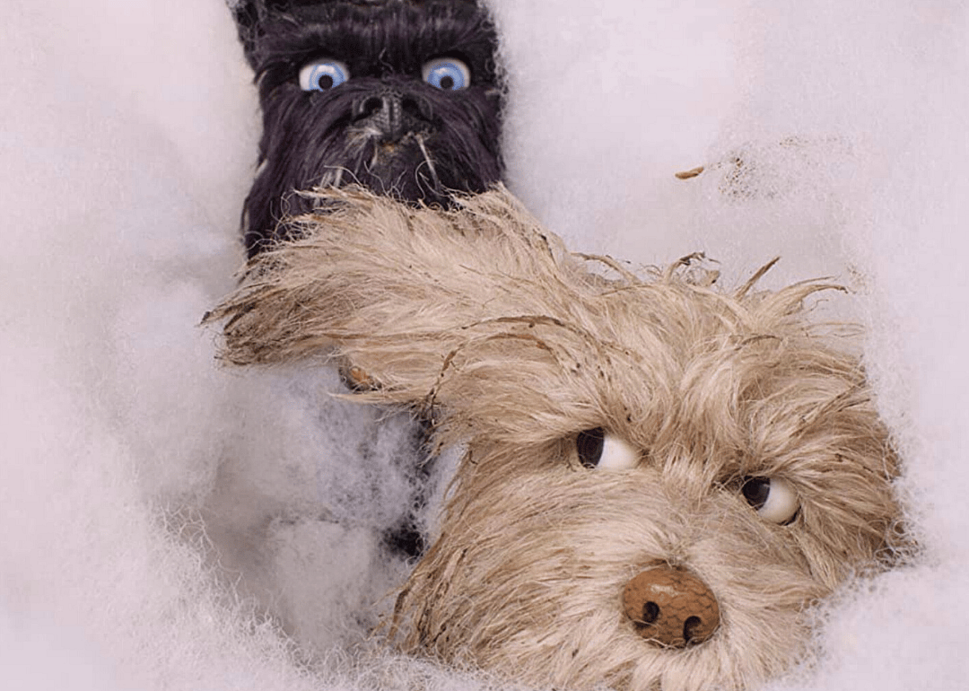 #22. ‘Isle of Dogs’ (2018)