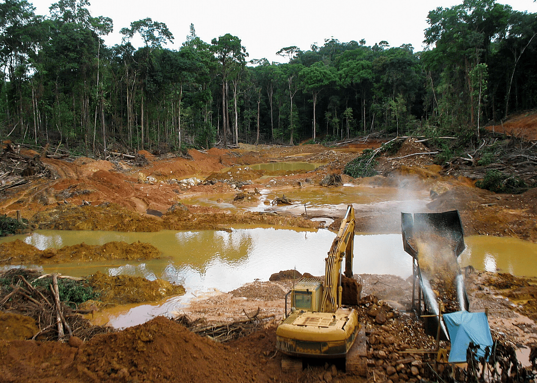 Illegal mining has adversely affected the environment.