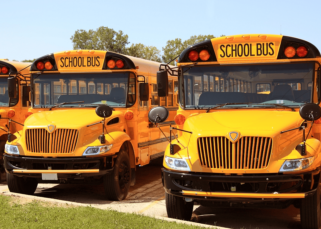 Hand sanitizers for buses: $10,534