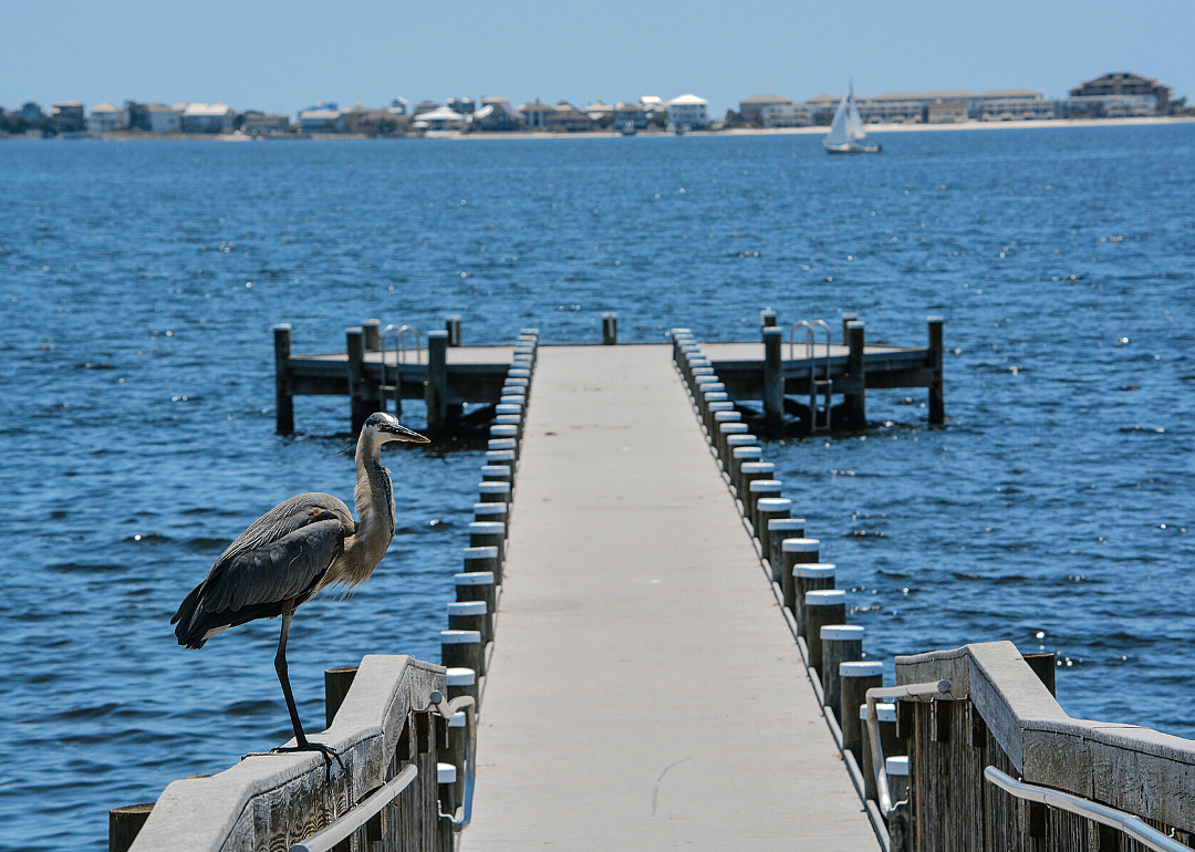 Florida: Santa Rosa County