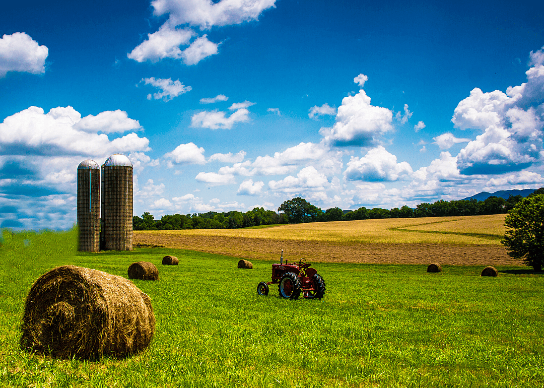 Alabama: Blount County