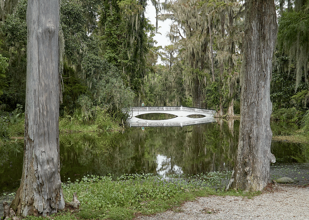 South Carolina: Dorchester County