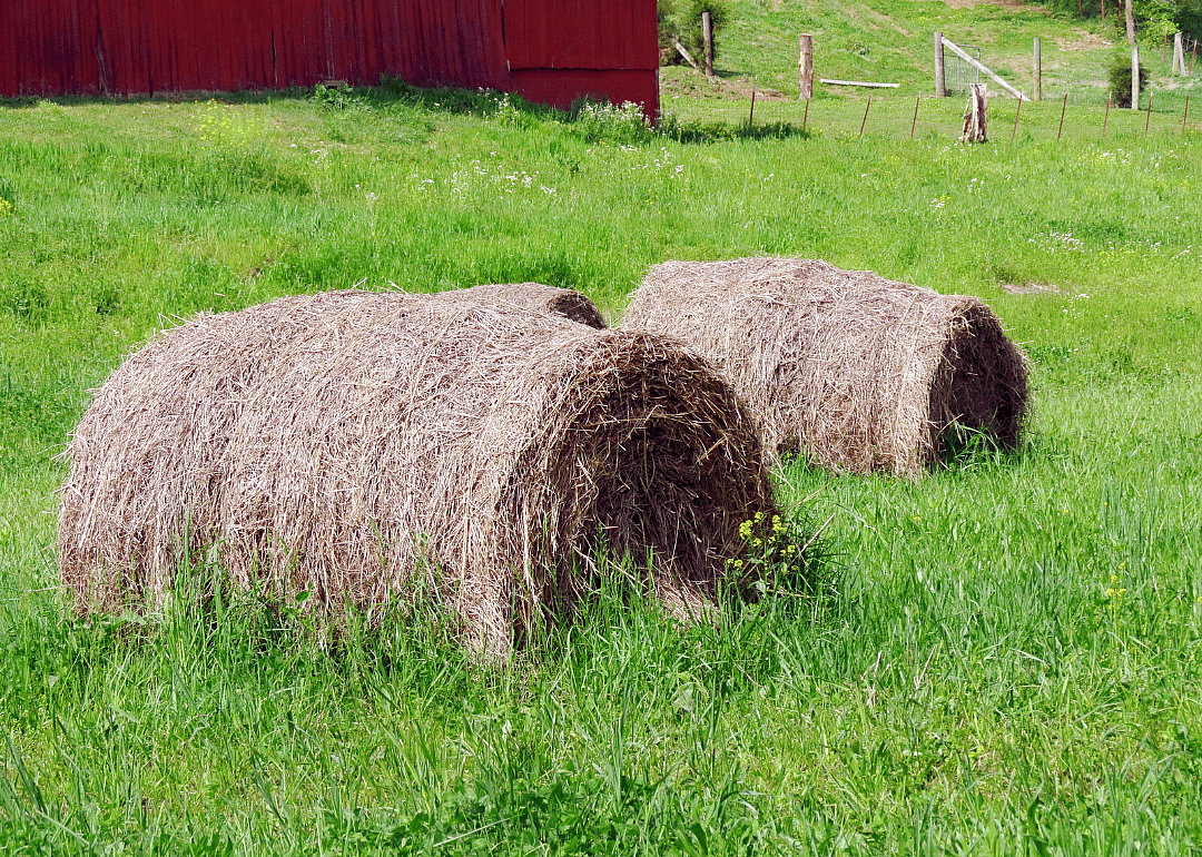 Tennessee: Union County
