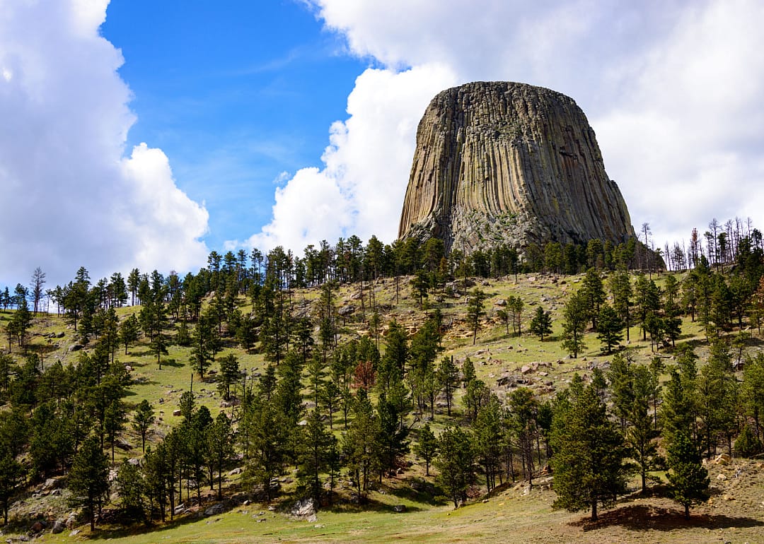#17. Crook County