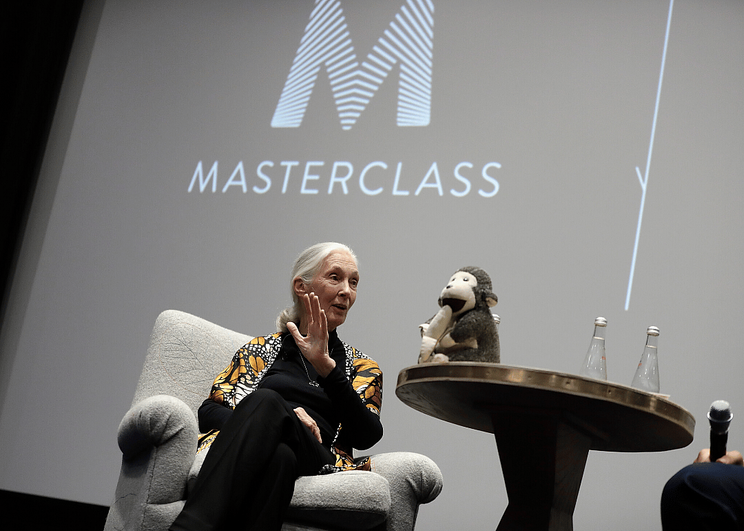 MasterClass