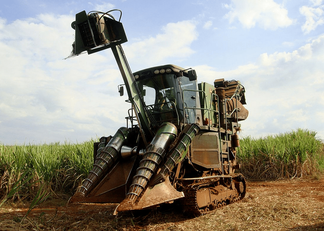 Agricultural workers