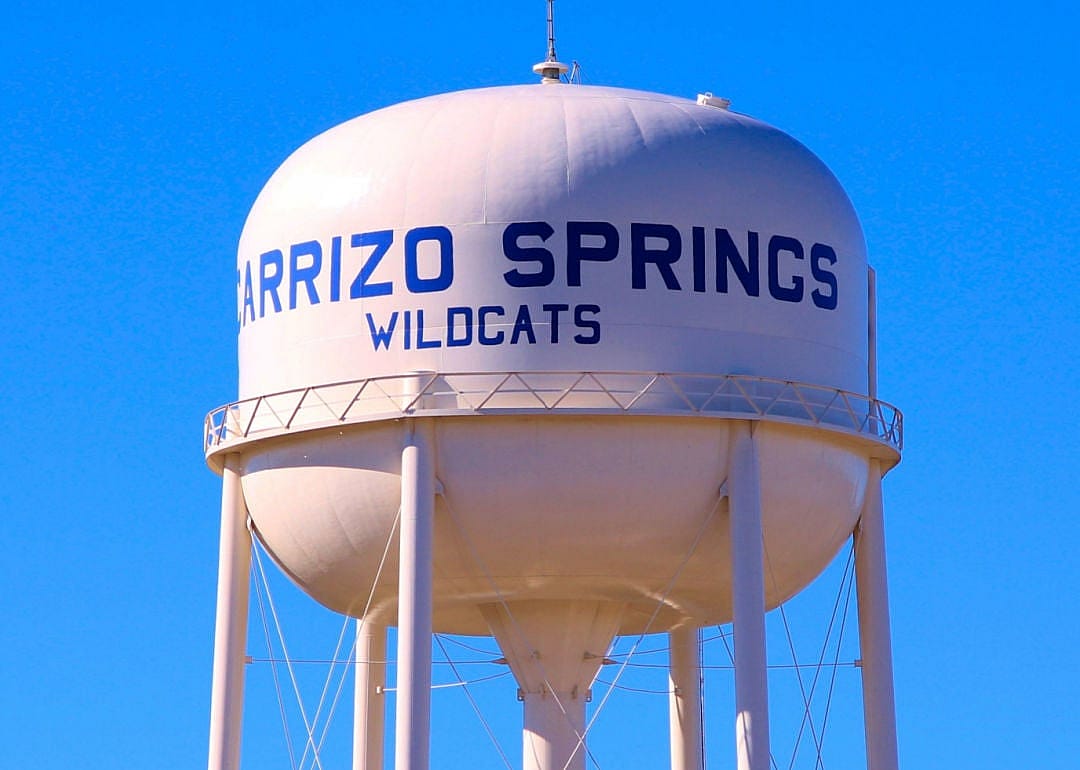 #3. Dimmit County
