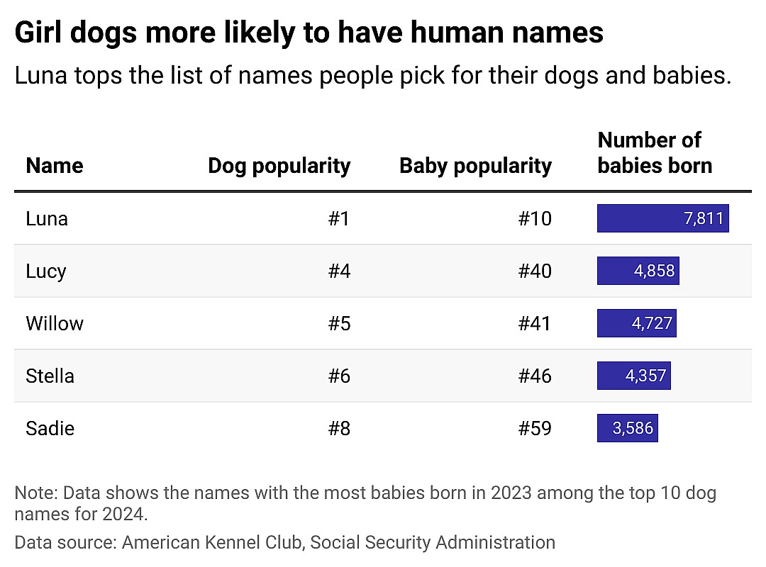 A table showing the names with the most babies born in 2023 among the top 10 girl dog names for 2024.