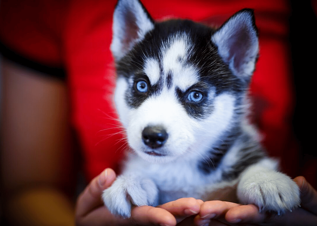#3. @broleyblue