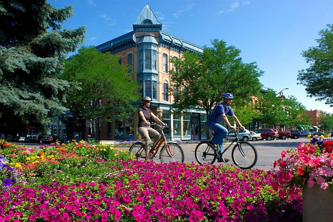 #9. Larimer County