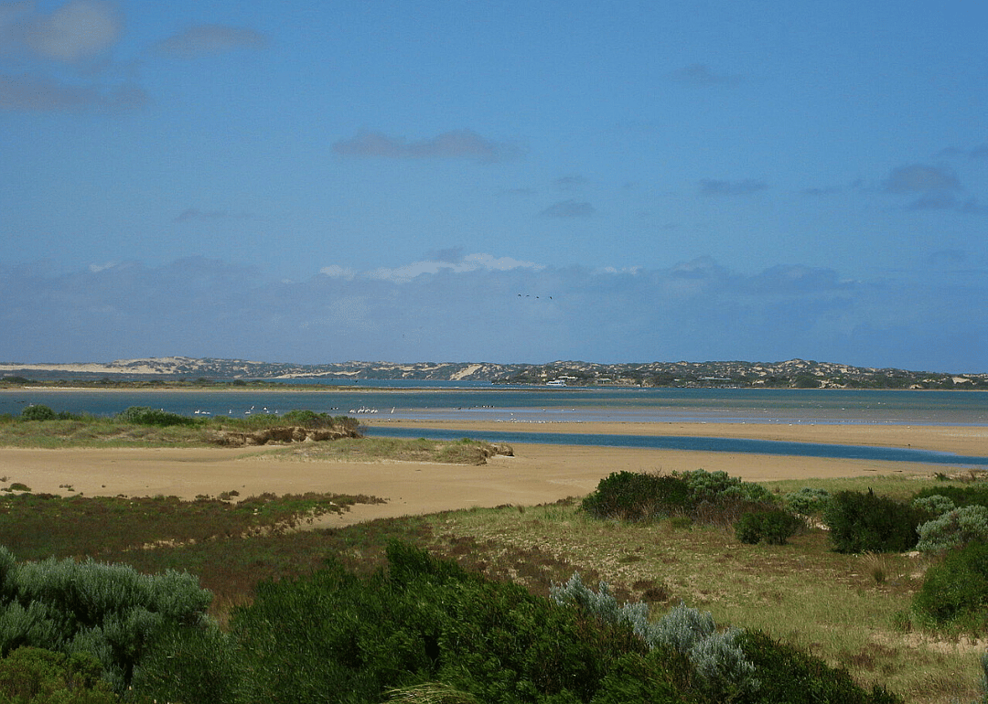 Coorong lagoons and Murray Mouth inverse estuary