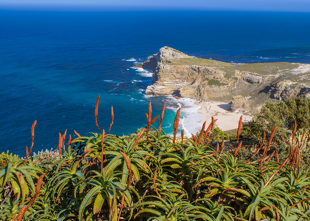 Southern Benguela upwelling ecosystem