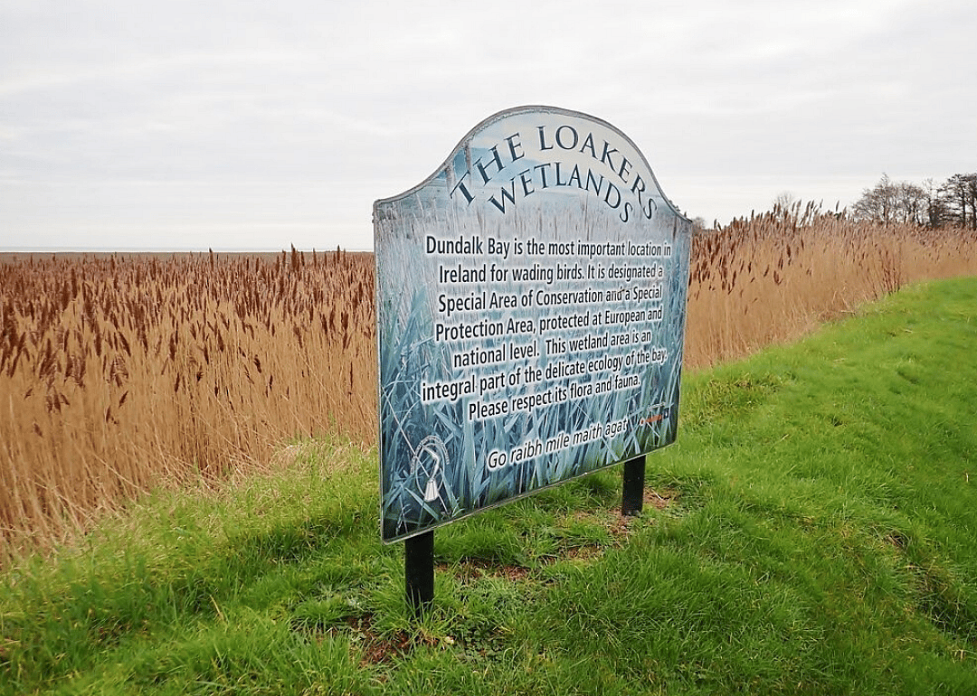 European reedbeds
