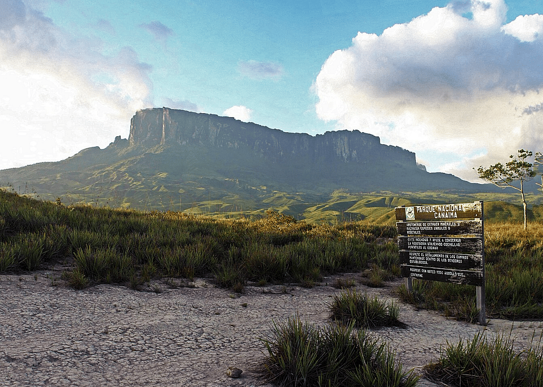 Tepui shrublands