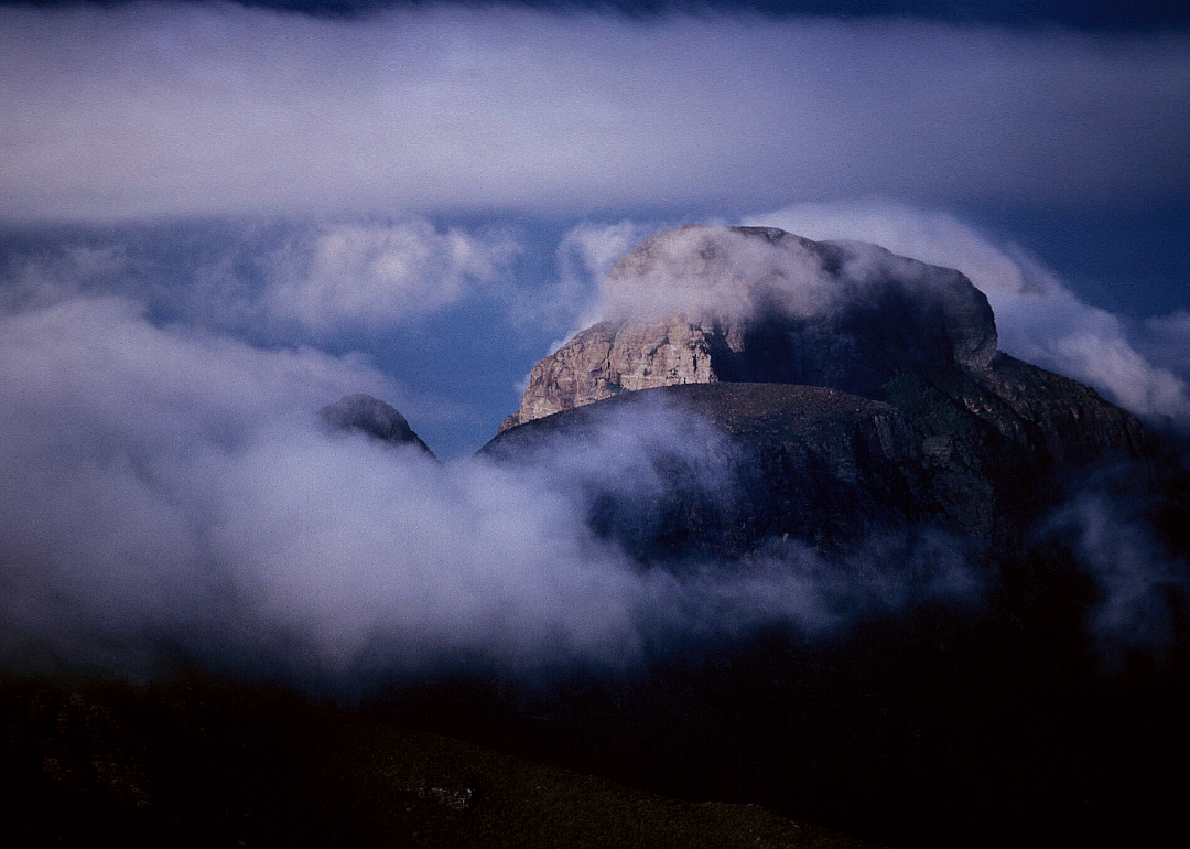 Eastern Stirling Range montane heath and thicket community