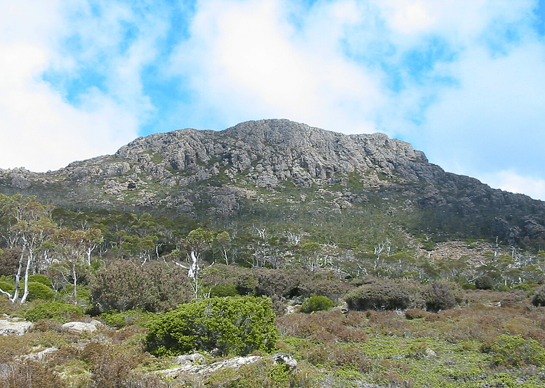 Ironstone shrubland