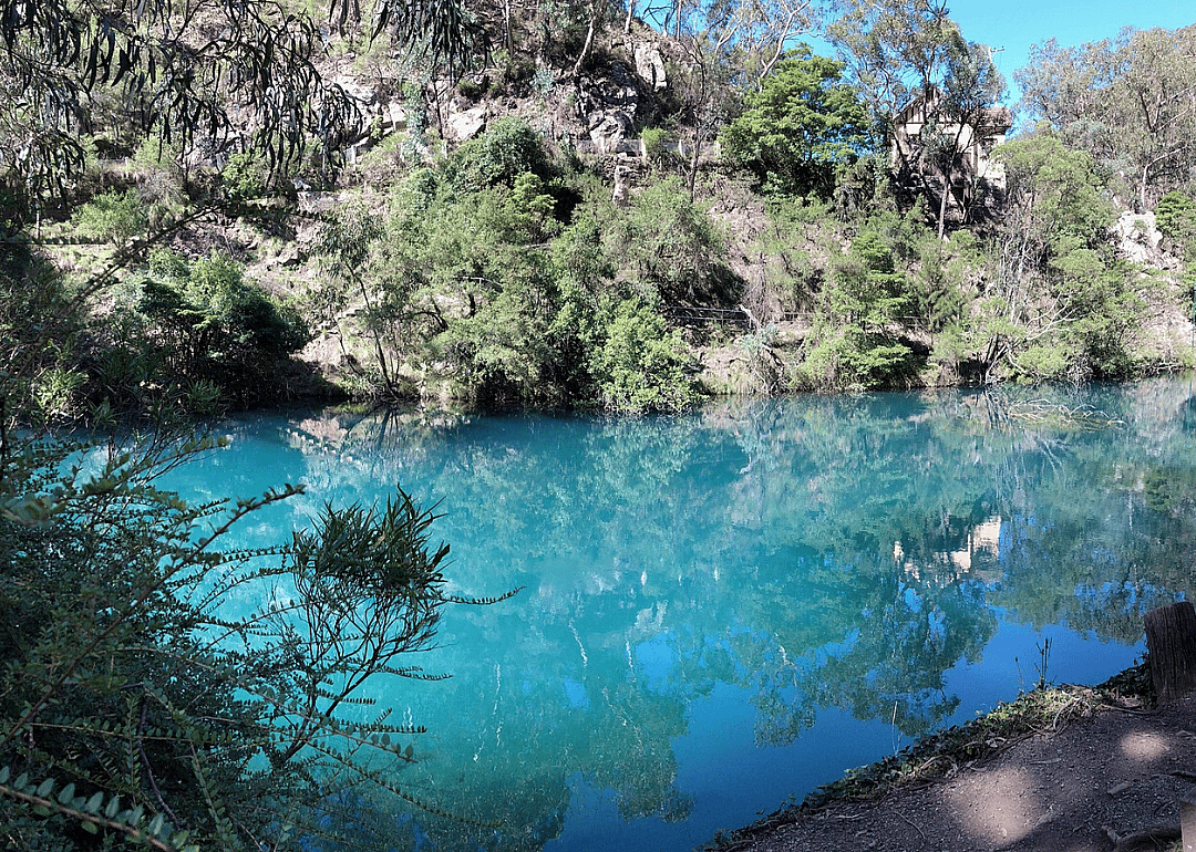 Karst rising-spring wetland community of Southeast Australia
