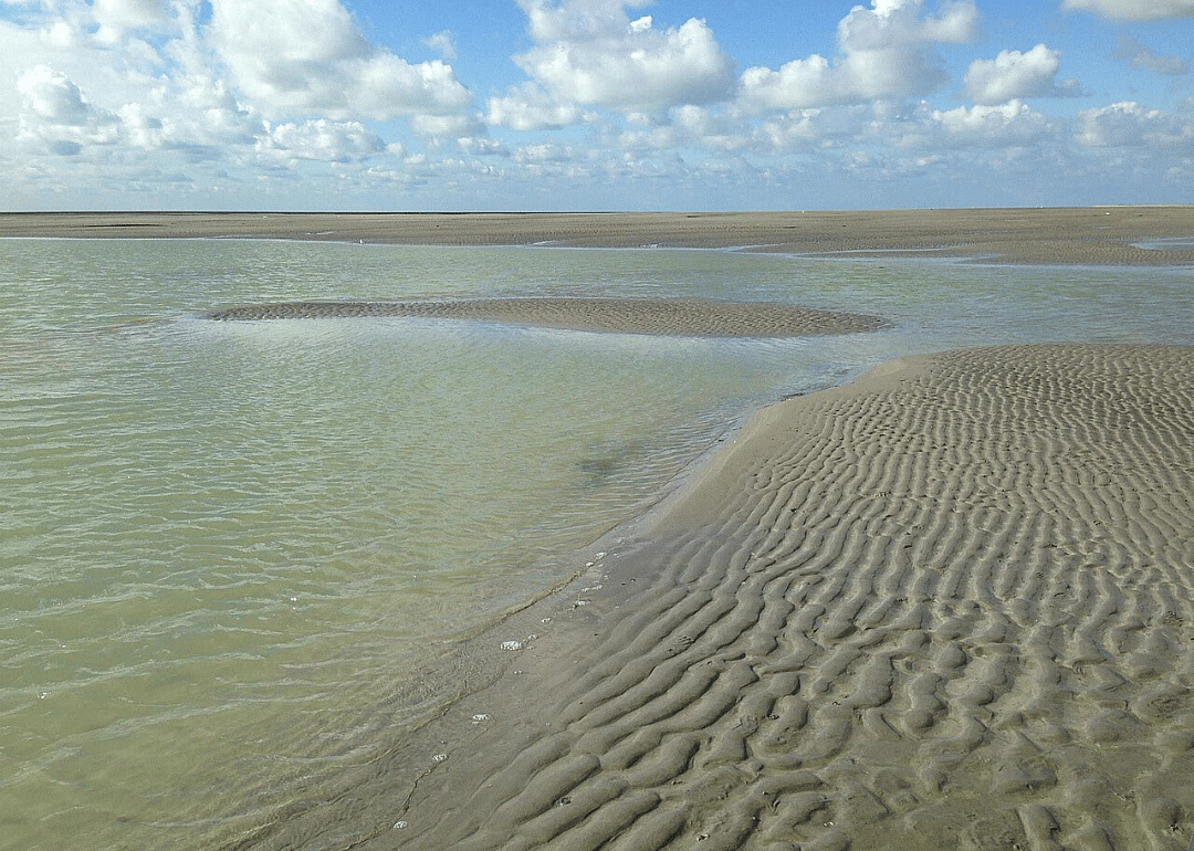 Intertidal mudflats of the French Atlantic coast