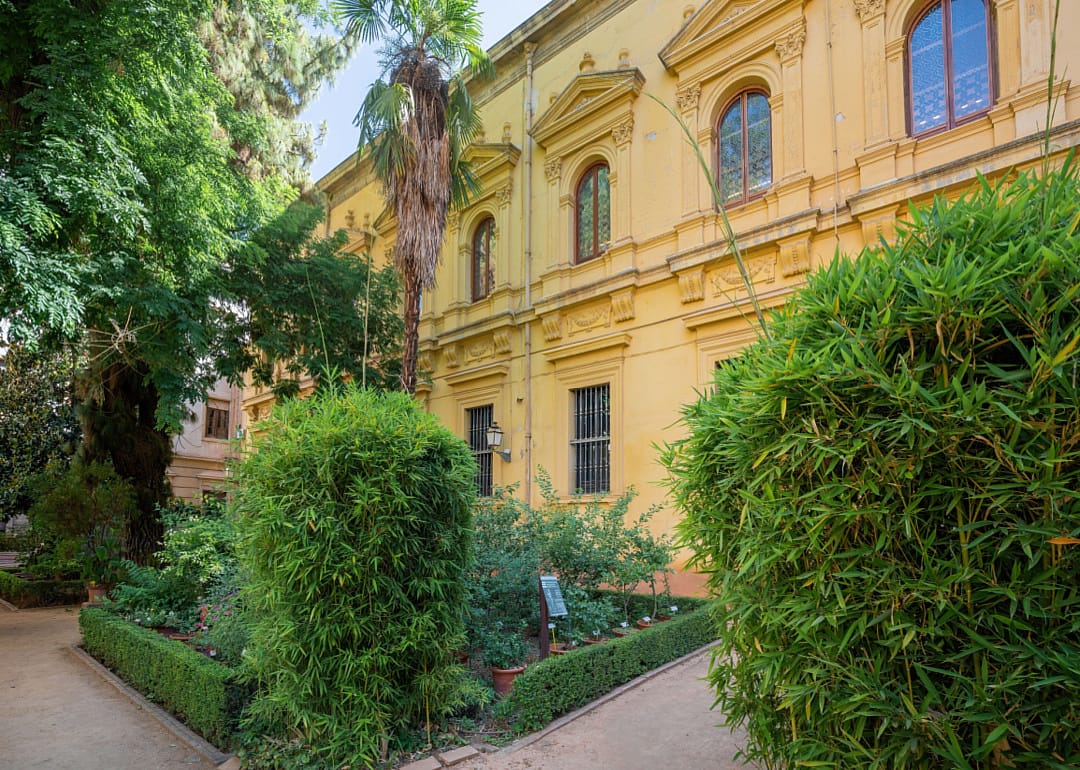 #15. University of Granada