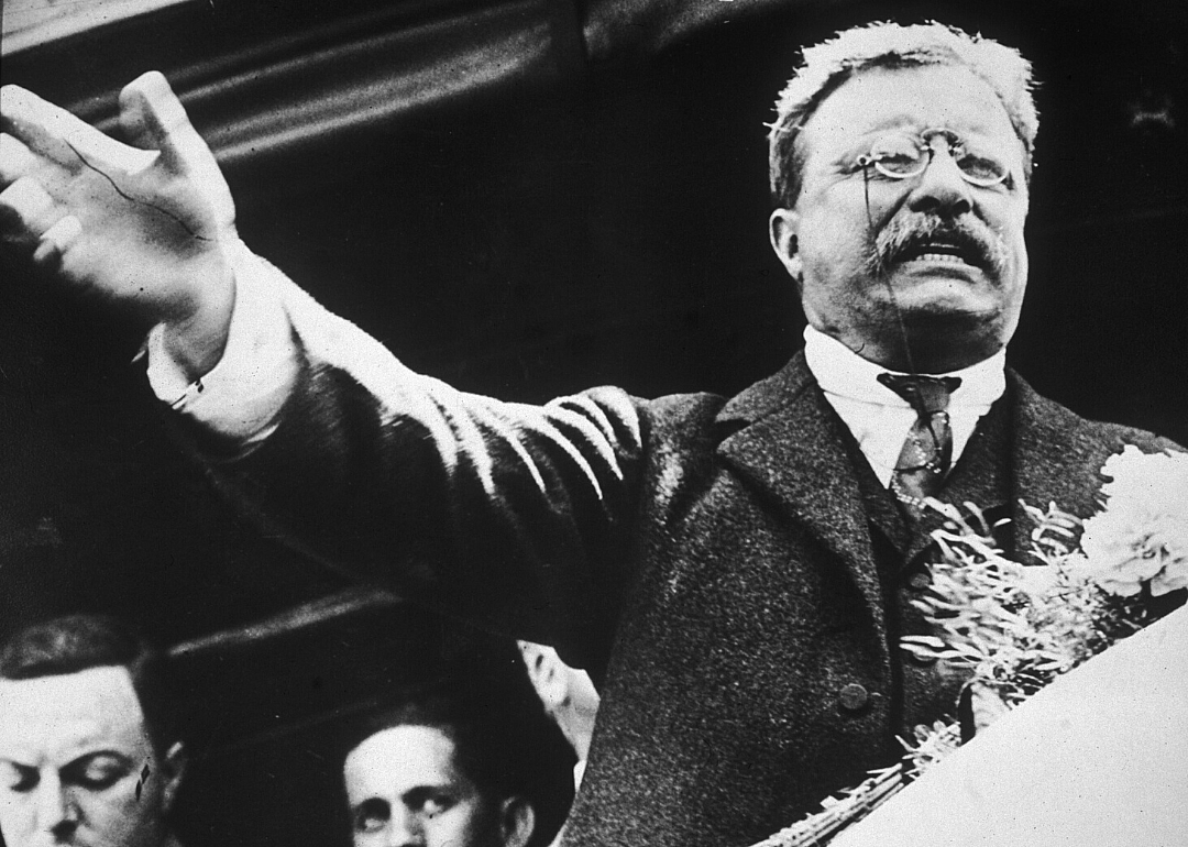 Theodore Roosevelt